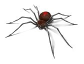 The_Castro_Firm_The-Black-Widow-Rears-it’s-Ugly-Head